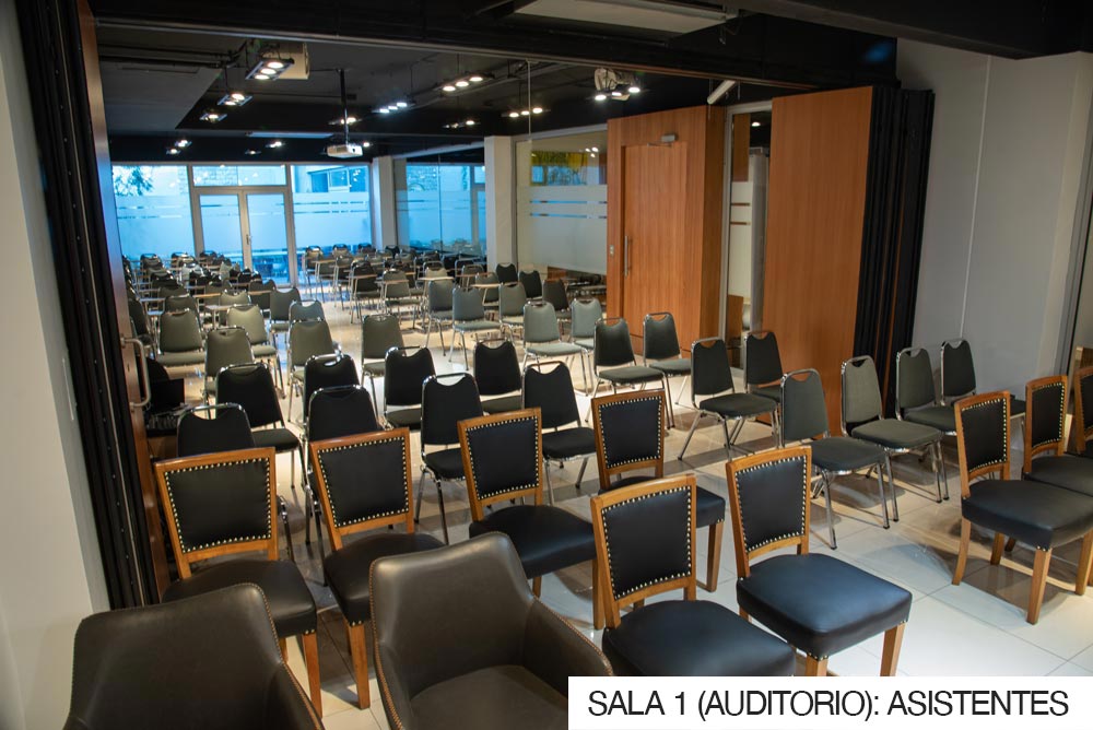 Sala-1-Auditorio-Asistentes_2
