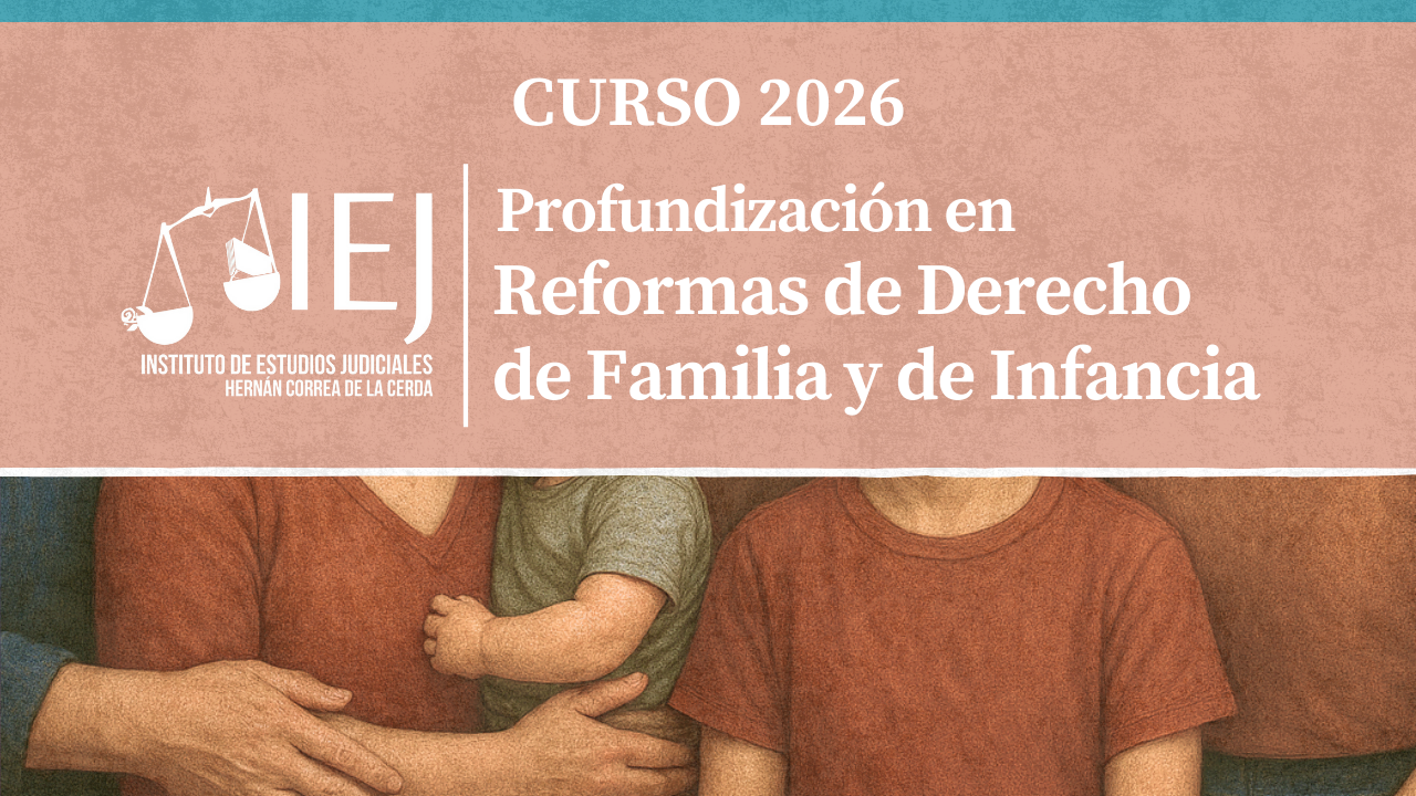 Curso Profundización en Reformas en Derecho de Familia y de Infancia