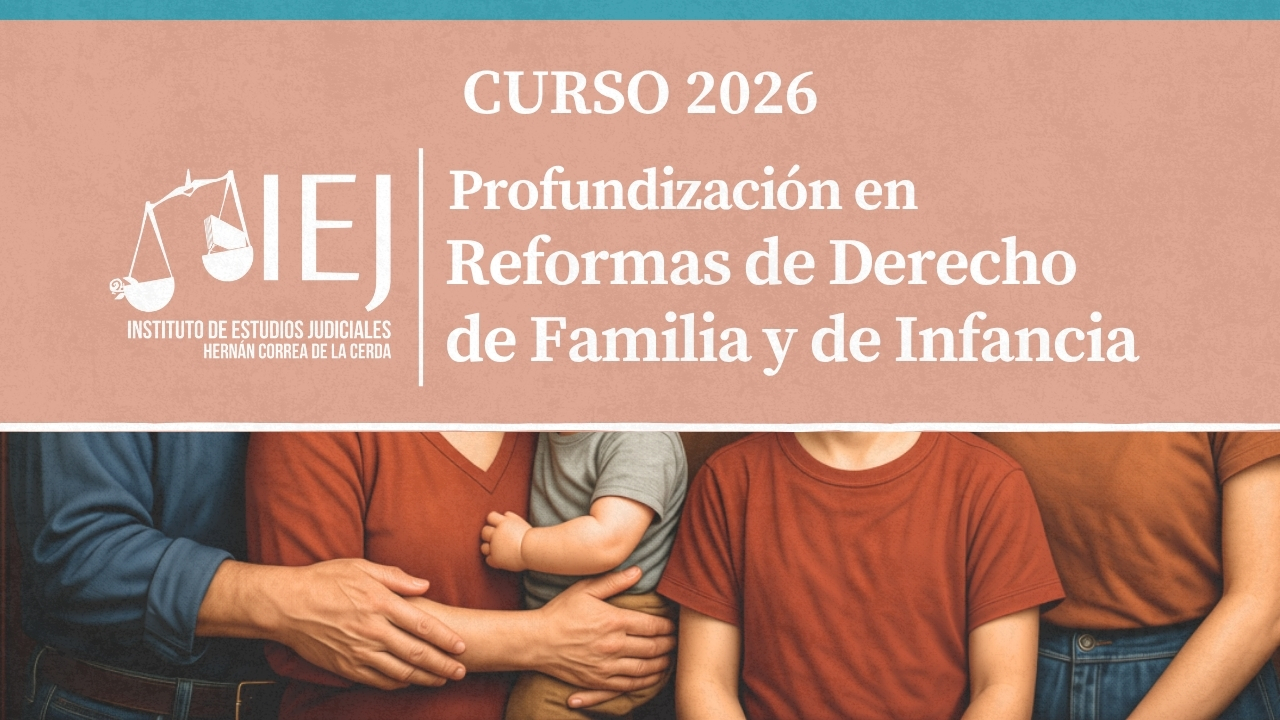 Curso Profundización en Reformas en Derecho de Familia y de Infancia