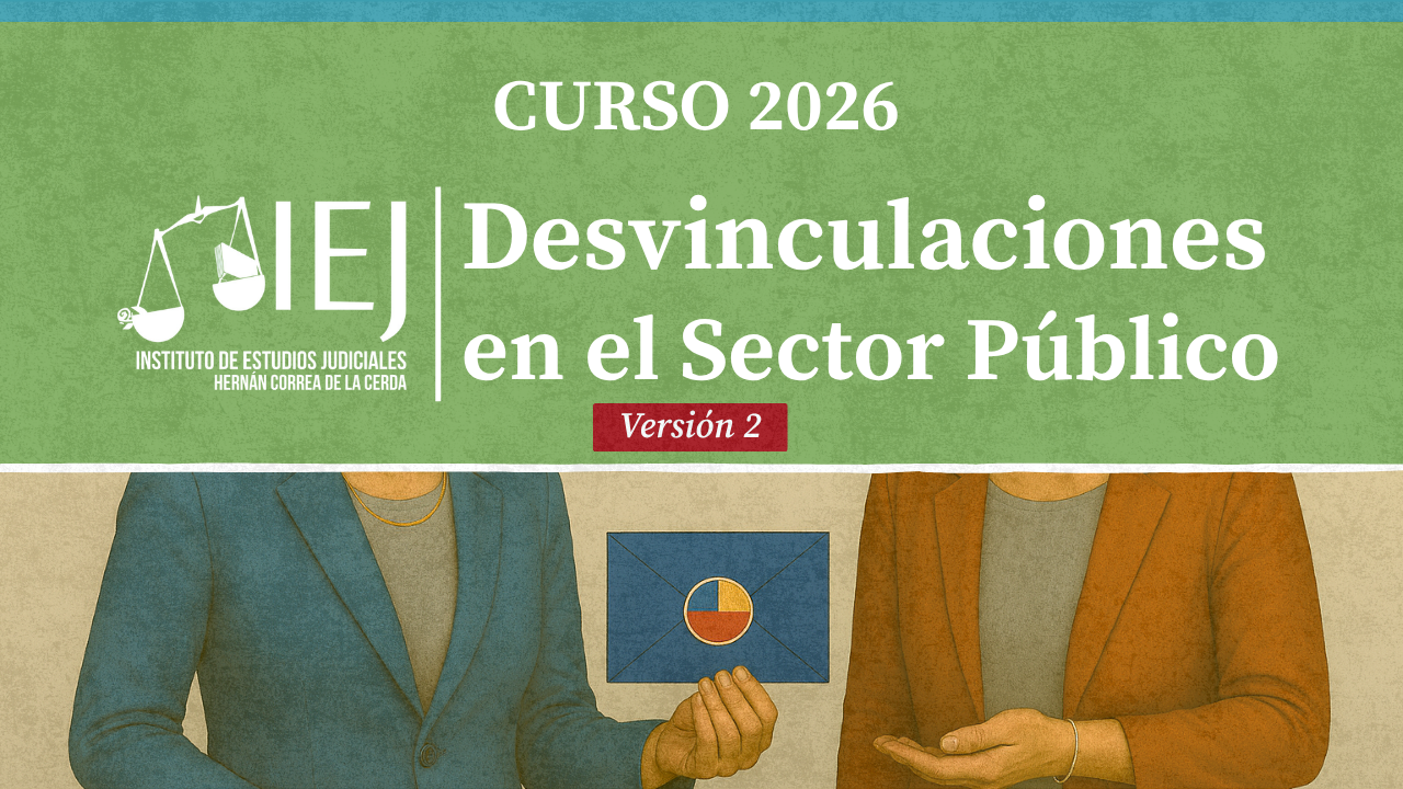 Curso Desvinculaciones en el Sector Público (Versión 2)