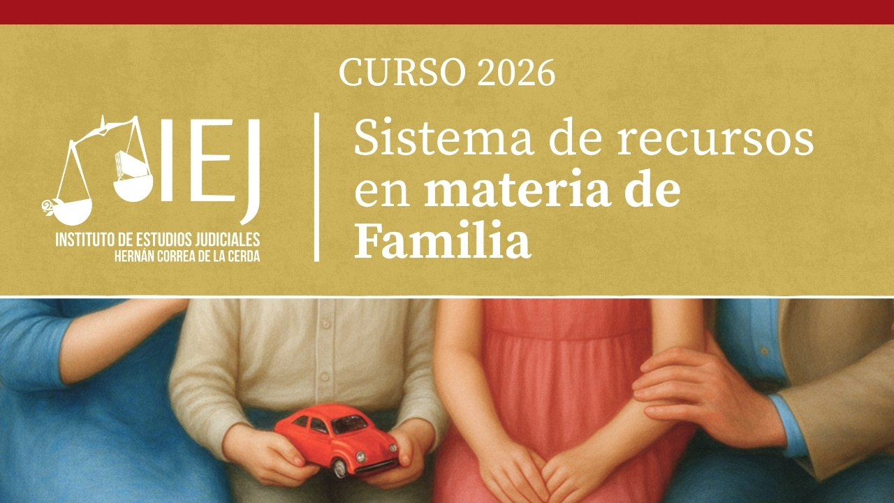 Curso Sistema de recursos en materia de Familia