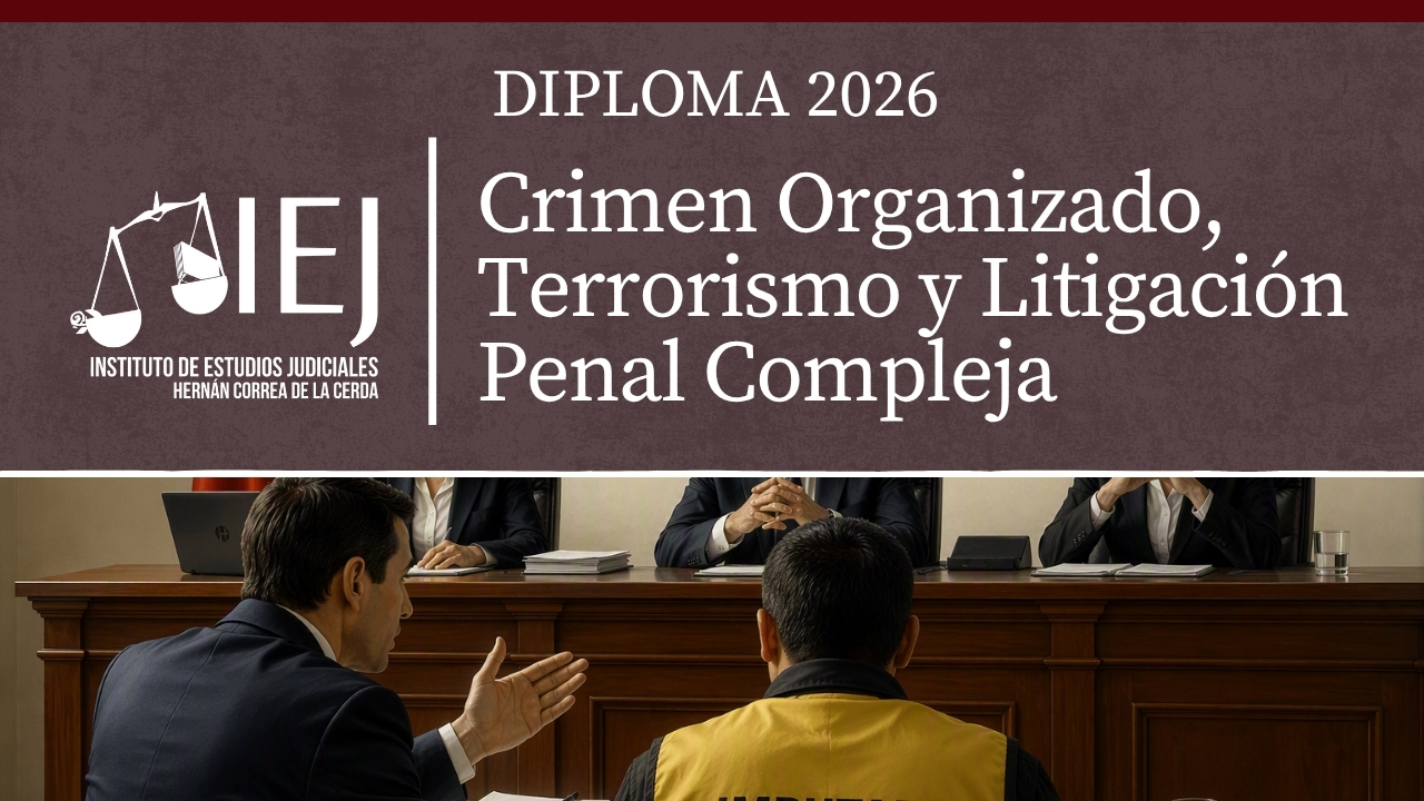 Diploma Crimen Organizado, Terrorismo y Litigación Penal Compleja