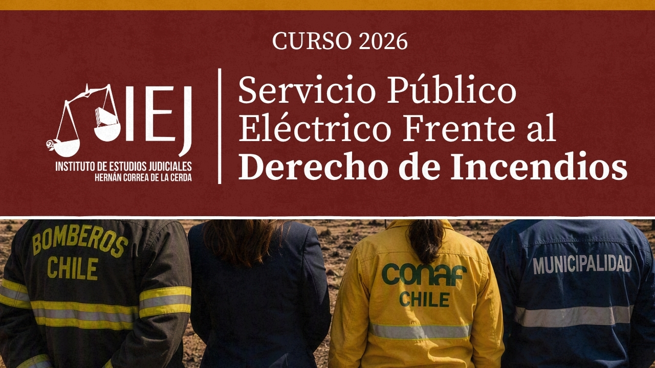 Curso Servicio Público Eléctrico Frente al Derecho de Incendios