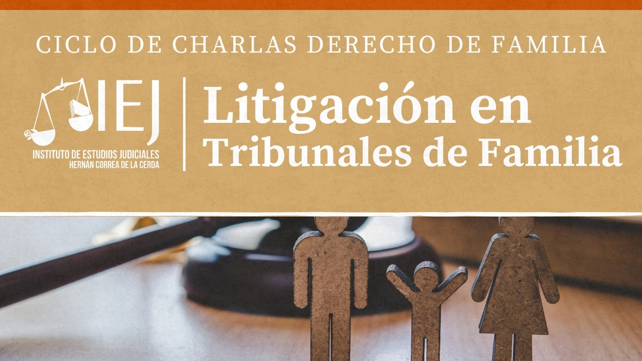 Ciclo de Charlas en Derecho de Familia: Litigación en Tribunales de Familia